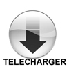 icone_telechargement low 100